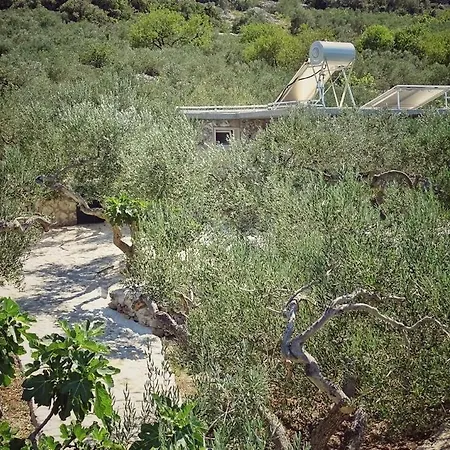 Secluded House Povlja, Brac - 14500 Hébergement de vacances