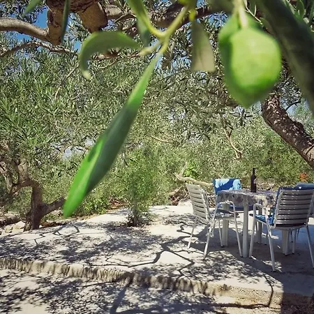 Secluded House Povlja, Brac - 14500 Hébergement de vacances Povlja (Brac)